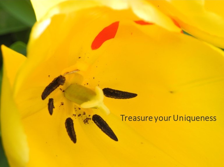 Close-up of a yellow flower's center.